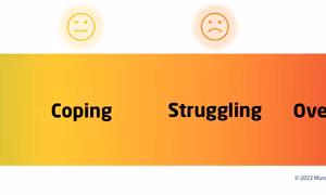 Công cụ Mental Health Continuum hoạt động dựa trên việc cung cấp thang chấm điểm 4 cấp độ (từ trái sang phải) "tốt", đang thích ứng", "đang gặp khó khăn" và "quá sức chịu đựng". Ảnh: rch.org.au