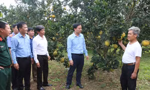 Yên Bái cơ cấu lại ngành nông nghiệp, gắn với xây dựng nông thôn mới