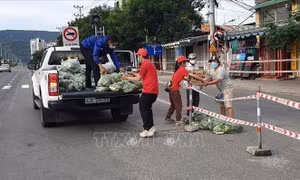 Chương trình trao rau củ quả hỗ trợ người dân trong khu vực bị cách ly trên địa bàn quận Sơn Trà. Ảnh: TTXVN phát