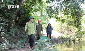 Lực lượng kiểm lâm Trạm quản lý bảo vệ rừng . Ảnh: Xuân Tiến - TTXVN