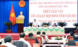 Gia Lai tập trung giải quyết các vấn đề “nóng” được cử tri, người dân quan tâm