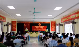 Quang cảnh Hội nghị. Ảnh: Việt Dũng - TTXVN 