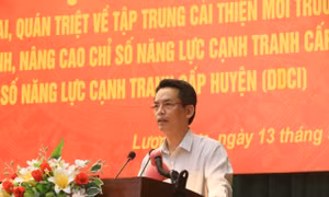 Lương Sơn triển khai các giải pháp nâng cao chỉ số năng lực cạnh tranh 
