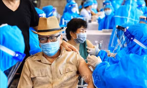 Theo kế hoạch, Hà Nội tổ chức tiêm chủng vaccine phòng COVID-19 mũi 1 cho toàn bộ người dân từ 18 tuổi trở lên, trong đó người cao tuổi được ưu tiên tối đa. Ảnh: Thành Đạt - TTXVN
