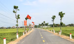 Hạ tầng giao thông nông thôn xã nông thôn mới Cẩm Thành (Cẩm Xuyên) được nâng cấp khang trang. Nguồn: baohatinh.vn 