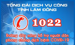 Điện thoại phòng chống dịch COVID-19. Ảnh :baolamdong.vn 
