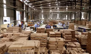 Sản xuất sản phẩm đồ gỗ xuất khẩu sang thị trường EU của Công ty CP WOODSLAND Tuyên Quang. Ảnh: Vũ Sinh/TTXVN