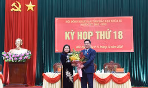 Đồng chí Phương Thị Thanh được HĐND tỉnh khóa IX bầu giữ chức Chủ tịch HĐND tỉnh nhiệm kỳ 2016 - 2021. Ảnh : baobackan.com.vn