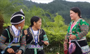Đồng bào dân tộc Mông gặp gỡ, trao đổi giao lưu tâm sự với nhau trong ngày Tết Độc lập. Ảnh: Quý Trung - TTXVN