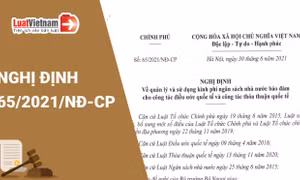 Nghị định về quản lý và sử dụng kinh phí ngân sách nhà nước bảo đảm cho công tác điều ước quốc tế và công tác thỏa thuận quốc tế. Ảnh: luatvietnam.vn 