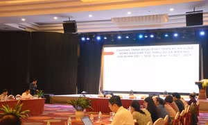 Quang cảnh hội nghị hướng dẫn triển khai nội dung đầu tư, hỗ trợ phát triển vùng trồng dược liệu quý. Ảnh: Tuấn Anh – TTXVN 