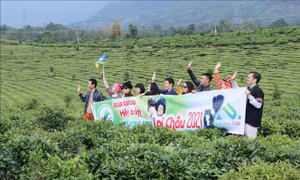 Du khách khám phá đồi chè Tân Uyên, huyện Tân Uyên, tỉnh Lai Châu. Ảnh: Nguyễn Oanh-TTXVN. 