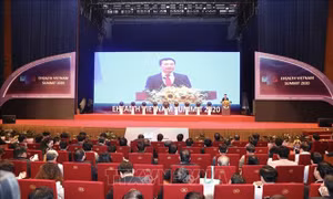  Quang cảnh Hội nghị. Ảnh: Minh Quyết - TTXVN