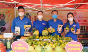 Tỉnh đoàn Sơn La giới thiệu các mặt hàng nông sản của tỉnh Sơn La . Ảnh: Quang Quyết-TTXVN