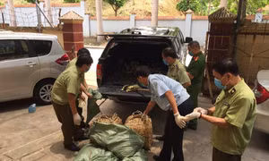 Hậu Giang kiểm soát vận chuyển gia cầm trái phép