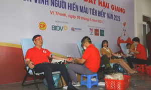 Hậu Giang xây dựng văn hóa, thói quen hiến máu trong cộng đồng