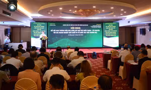 Quang cảnh Hội nghị. Ảnh: Văn Dũng - TTXVN 