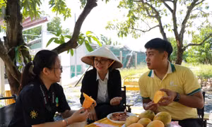 Anh Trần Lê Hòa giới thiệu đến những du khách cách ăn trái xoài Cam Lâm. Ảnh: Phan Sáu - TTXVN 
