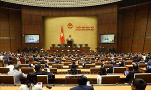 Chủ nhiệm Ủy ban Pháp luật của Quốc hội Hoàng Thanh Tùng trình bày Báo cáo thẩm tra Báo cáo tổng kết công tác nhiệm kỳ 2016-2021 của Chính phủ. Ảnh: Văn Điệp - TTXVN