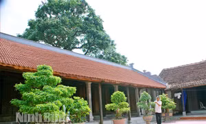 Bảo tồn nhà cổ truyền thống trong vùng Di sản