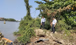 Sạt lở nghiêm trọng trên sông Mỏ Cày ảnh hưởng đến cuộc sống người dân. Ảnh: Huỳnh Phúc Hậu - TTXVN