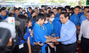 Sản phẩm nấm Hoàng Đế của anh Trần Quang Tiến đã được UBND tỉnh Bình Định công nhận sản phẩm OCOP 3 sao. Ảnh: Nguyên Linh-TTXVN 