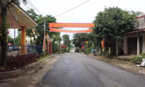 Sức sống mới ở Cẩm Khê. Ảnh: nongnghiephuucovn.vn