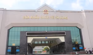 Xe chở hoa quả tươi chờ làm thủ tục tại Cửa khẩu quốc tế đường bộ. Ảnh : Khánh - TTXVN 