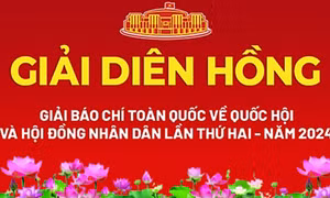 Biểu quyết chấm các tác phẩm dự thi. Ảnh: Phạm Kiên - TTXVN 