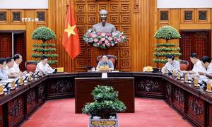 Thủ tướng Phạm Minh Chính chủ trì họp Thường trực Chính phủ về bảo đảm cung ứng điện, năng lượng. Ảnh: Dương Giang-TTXVN 