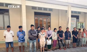 Triệt xóa tụ điểm đánh bạc quy mô lớn ở vùng biên Tây Ninh