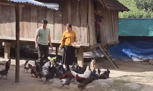 Phát triển kinh tế vùng Bắc Trung bộ và Duyên hải Trung bộ: Rút ngắn khoảng cách vùng miền 