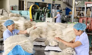 Phú Thọ thúc đẩy tiêu thụ sản phẩm OCOP lên sàn thương mại diện tử
