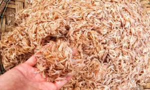 Chế biến xuất khẩu thủy sản . Ảnh: Minh Trí - TTXVN 
