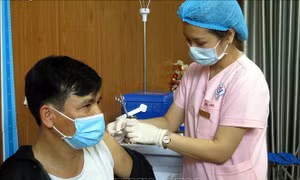 Tiêm vaccine phòng COVID- 19 tại Bệnh viện Trung ương Thái Nguyên. Ảnh: Trần Trang-TTXVN 