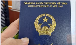 Hai luật sẽ có hiệu lực thi hành kể từ ngày 15/8/2023