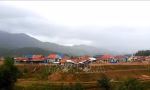 Khu tái định cư mới nằm trên địa bàn 2 xã An Trung và An Hưng (huyện An Lão), nay thành lập xã An Dũng mới gồm 4 thôn. Ảnh: Tường Quân - TTXVN
