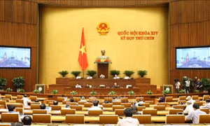 Kỳ họp thứ 9, Quốc hội khóa XIV: Thảo luận dự thảo Nghị quyết của Quốc hội về miễn thuế sử dụng đất nông nghiệp