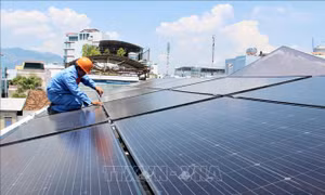 Lắp đặt tấm pin mặt trời trên mái nhà tại một hộ dân Ảnh: Tiên Minh - TTXVN