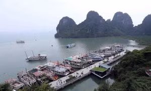 Tàu neo đậu ở vịnh Hạ Long. Ảnh Quảng Quyết/TTXVN