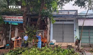 Nhiều cây xanh tại đường Điện Biên, phường Cốc Lếu bị gãy, bật gốc gây ách tắc giao thông nhiều giờ sáng 6/5/2024. Ảnh: Quốc Khánh - TTXVN 