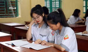 Em Phạm Quỳnh Anh (ở giữa) trao đổi bài tập cùng các bạn. Ảnh: Nguyễn Lành - TTXVN 