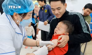 Đưa trẻ đi tiêm chủng theo lịch tiêm các vắc xin có chứa thành bạch hầu (DPT-VGB-Hib, DPT…) đầy đủ, đúng lịch để đảm bảo miễn dịch phòng bệnh cho trẻ trong độ tuổi tiêm chủng. Ảnh: Minh Quyết – TTXVN 