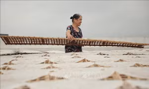 Xã Dĩnh Kế (thành phố Bắc Giang, tỉnh Bắc Giang) có hơn nửa số thôn làm bánh đa, trong đó bánh đa của làng Kế là nổi tiếng hơn cả bởi hương vị độc đáo và thơm ngon không giống với bất cứ nơi đâu. Ảnh: Danh Lam-TTXVN