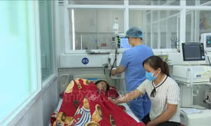 Bệnh nhân đang được điều trị sốt xuất huyết tại Bệnh viện Nhi Gia Lai. Ảnh: TTXVN phát 