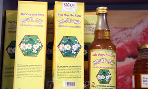 Mật ong Hoa Rừng của Hợp tác xã chăn nuôi ong Phong Thổ đạt 3 sao OCOP tỉnh Tuyên Quang. Ảnh: Vũ Quang Đán – TTXVN 
