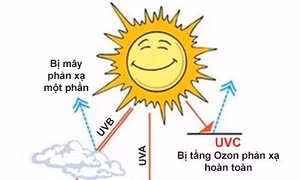 Tia cực tím hay còn được gọi là tia UV. Ảnh : garan.vn