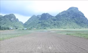 Cánh đồng tại xã Bằng Mạc, huyện Chi Lăng, tỉnh Lạng Sơn đợi nước trời để gieo cấy, trồng trọt. Ảnh: Anh Tuấn – TTXVN