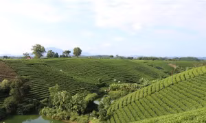 Thái Nguyên xây dựng Đại Từ đạt tiêu chuẩn thị xã vào năm 2025