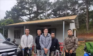 Các đối tượng phá rừng. Ảnh: TTXVN phát 